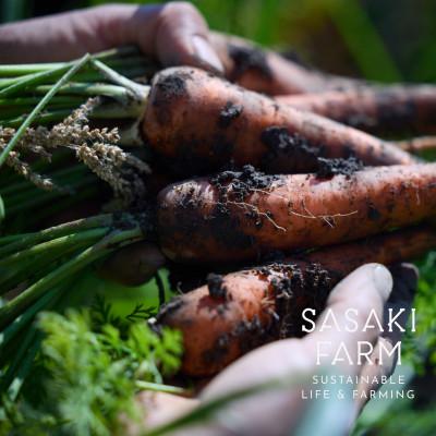 ふるさと納税 洞爺湖町 佐々木ファームよりお届けする旬の野菜詰め合わせ　〜ありがとうBOX 2025・中〜 |  | 03
