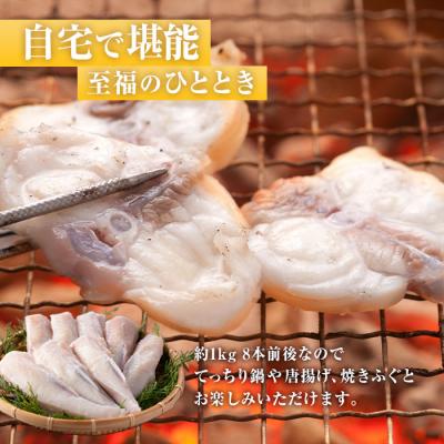 ふるさと納税 佐伯市 <訳あり・業務用>とらふぐ 身欠き上身 (計約1kg) |  | 02