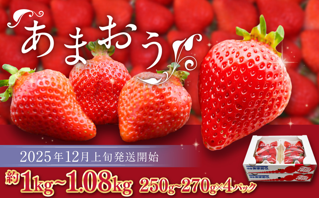 
            博多あまおう（冬） 約250g～270g×4パック 計約1kg～1.08kg【2025年12月上旬-2026年1月下旬発送予定】 いちご 苺 イチゴ 果物 フルーツ
          