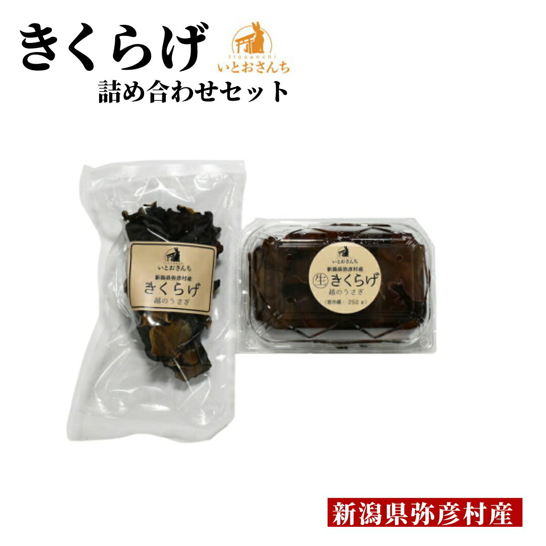【ふるさと納税】国産 きくらげ 越のうさぎ 詰め合わせ セット ( 生きくらげ 250g ・ 乾燥きくらげ 25g ) | 栽培期間中農薬不使用 手のひらサイズ 大きい 肉厚 木耳 キクラゲ プリプリ食感 きのこ 特産品 産地直送 お取り寄せ グルメ 送料無料 新潟県 弥彦村 いとおさんち