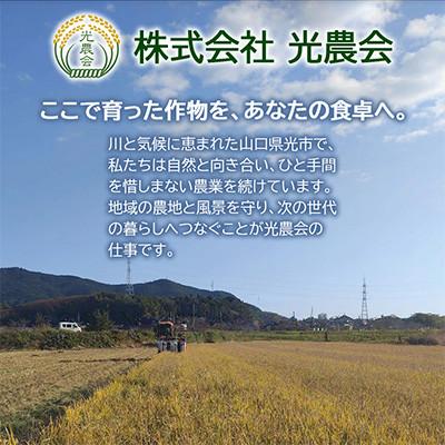 ふるさと納税 光市 【令和8年産新米】ひとめぼれ11kg(5.5kg×2袋)【光農会】 |  | 01