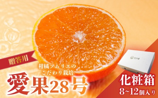 愛果28号 (紅まどんな と同品種)  白化粧箱 8玉から12玉 【2026年11月下旬より順次発送】 | あいか 紅まどんな 紅マドンナ と 同品種 高級 みかん 愛媛  まどんな 柑橘  果物 くだもの フルーツ おすすめ  人気 お取り寄せ グルメ ギフト 期間 数量 限定  愛媛県  松山市  蓮果園