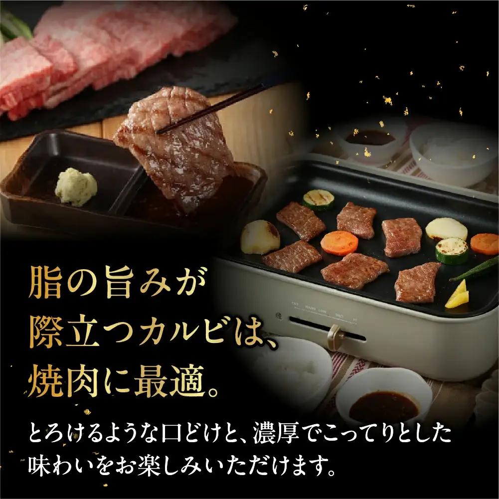 飛騨牛カルビ焼肉  600g【22-16】