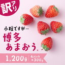 【ふるさと納税】【訳あり.限定品】あまおう.小粒ですが約1200g（先行受付．2025年1月以降発送） いちご 苺 高級 フルーツ.AB380