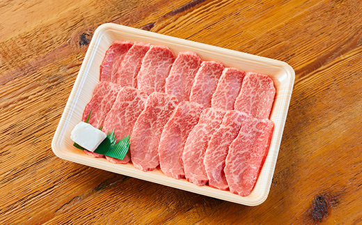 飛騨牛 焼肉セット 800g 焼肉 BBQ 牛肉 和牛 肉 霜降り バラカルビ 赤身 モモ カタ 詰め合わせ ギフト 御祝 内祝 4人前 大容量 岐阜県 坂祝町 養老ミート  F6M-394