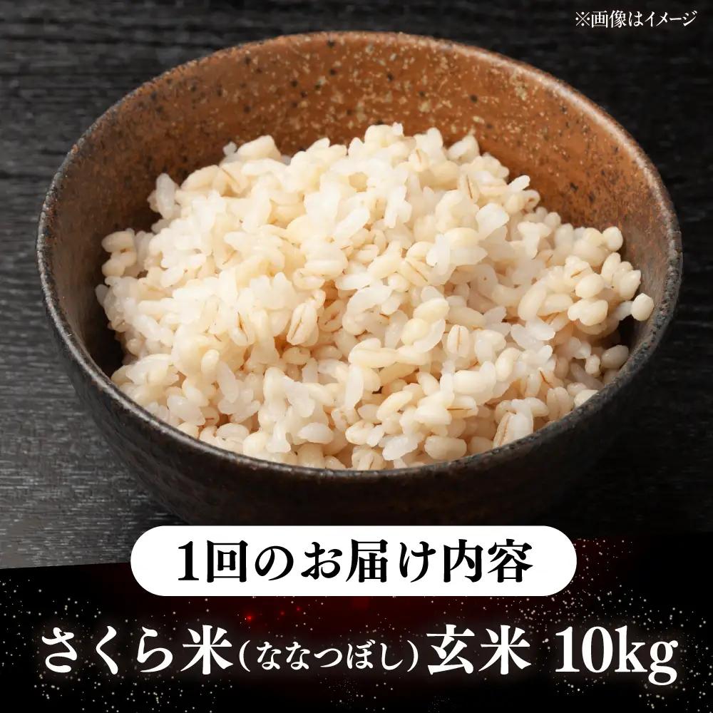 【全2回定期便】【玄米】ななつぼし さくら米 10kg  特A 北海道[AXAB079]