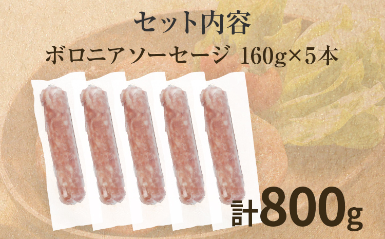 ボロニアソーセージ５本(160g×5)セット ソーセージ ボロニア 名水豚 お肉 ステーキ バーベキュー BBQ 惣菜 豚肉 ウデ肉100% お弁当 朝ごはん 朝食 おかず 福岡県 大木町 お取り寄せ
