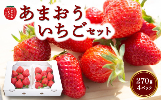 よかもんいちご あまおう苺セット4パック 【2025年12月 発送予定】 あまおう いちご イチゴ 苺 よかもん苺 朝摘み 穫れたて 果物 くだもの フルーツ デザート 福岡県 うきは市