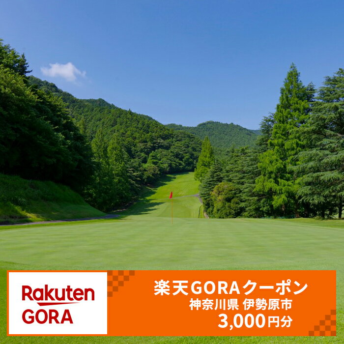 【ふるさと納税】神奈川県伊勢原市の対象ゴルフ場で使える楽天GORAクーポン 寄付額10,000円 [0695]