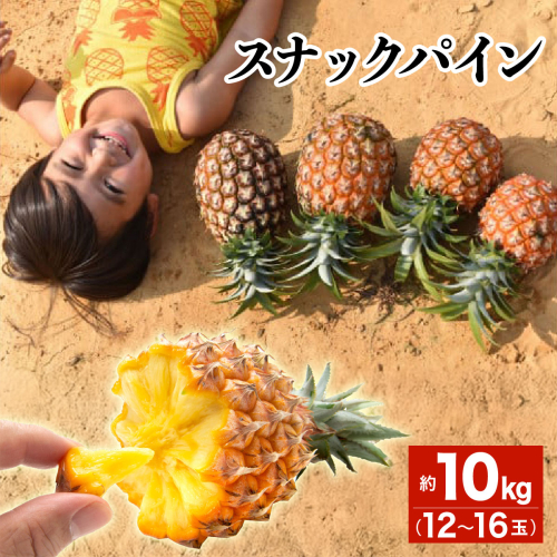 2027年 先行予約 スナックパイン 約10kg 12～16玉 西表島ひらい農園 パイナップル 果物 フルーツ パイン 027-a012-2027