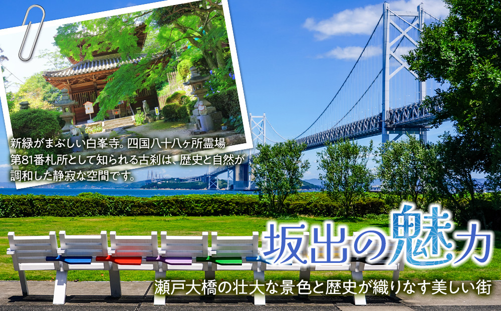 【返礼品なし】坂出市　寄附のみの応援寄附金　3,000円　（返礼品はありません）