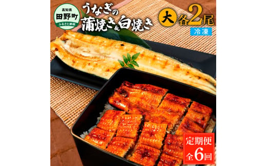 
田野町産うなぎの蒲焼き(大)+うなぎの白焼き(大) 各2尾×6回 定期便 6ヶ月 定期コース 1尾あたり120～150g タレ付き 山椒付き うなぎ 鰻 ウナギ 蒲焼き かば焼き 白焼 国産 冷凍 配送
