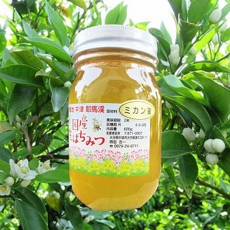 
            中津・耶馬渓のはちみつ みかん 600g×1瓶 | 時田養蜂場 国産 蜂蜜 ハチミツ みかん 蜜柑 ミカン 大分県産 九州産 中津市
          