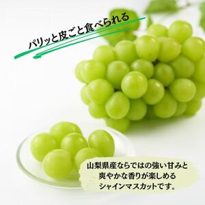 【2026年先行受付】大人気! シャインマスカット秀 3kg(4～7房)【配送不可地域：離島】【1691662】