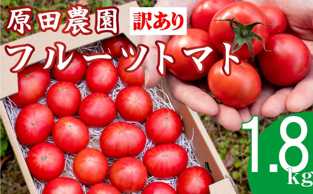 【12月下旬～5月頃発送】＜訳あり フルーツトマト 原田農園 約1.8kg 箱入＞ 桃太郎 家庭用 ワケあり 変形 キズあり 高知県 佐川町　＜当期分は毎年4月上旬頃まで申込受付＞