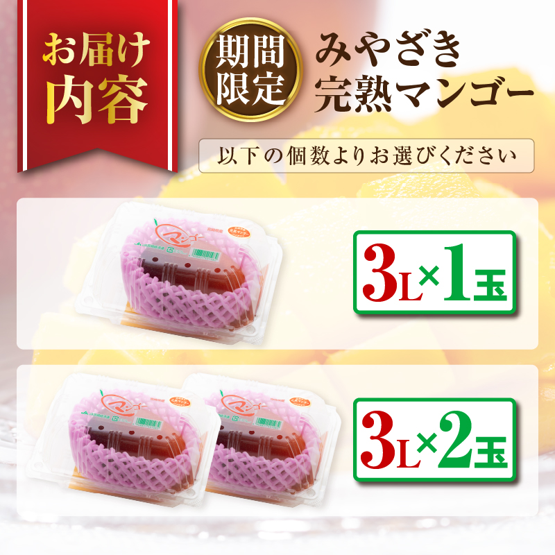 ≪玉数が選べる≫ みやざき 完熟マンゴー 3Lサイズ 期間限定 数量限定 1玉 2玉 マンゴー 宮崎 フルーツ 果物 くだもの 国産 食品 先行予約 2026 令和8年発送 濃厚_S-BB145-24