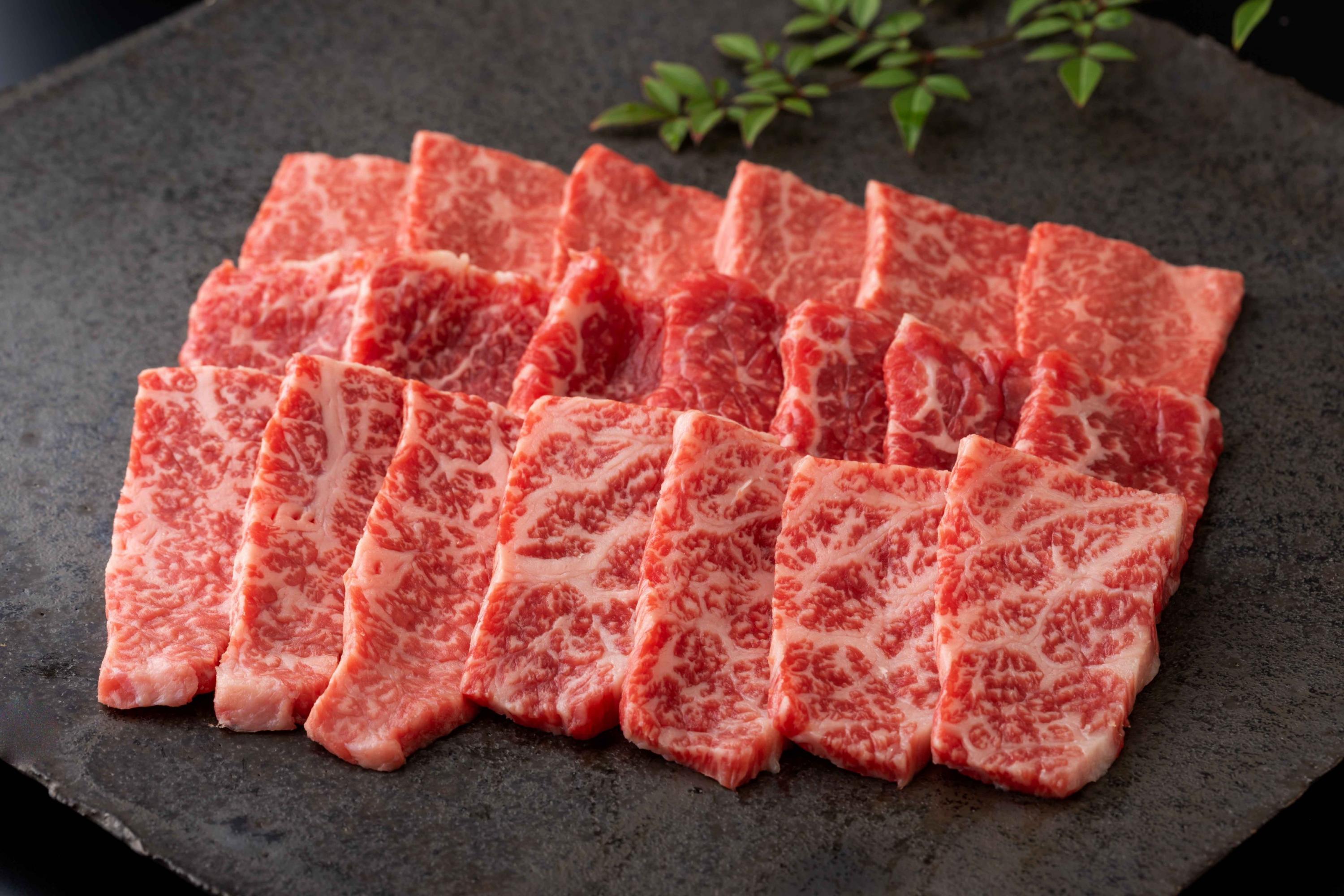 【発送月固定 定期便】肉の定期便! 厳選 佐賀牛 隔月お届け（奇数月）全6回 J1169_イメージ4