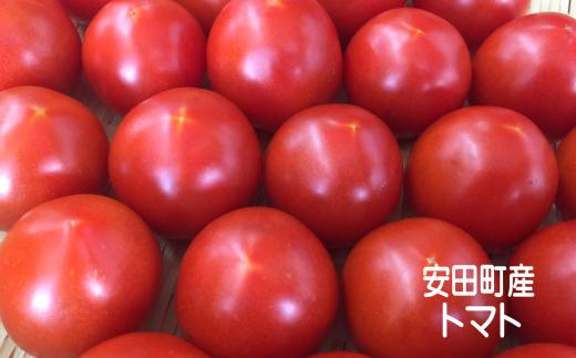 
            TR-04◆安田町産の新鮮トマト３Kg
          