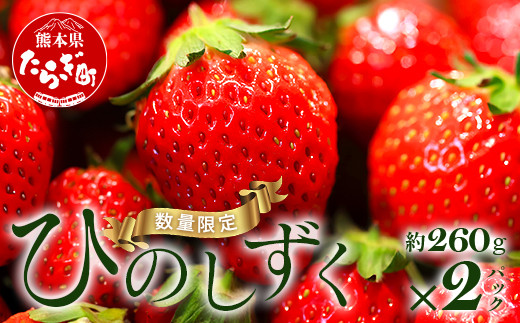 【先行予約】希少！ 熊本県産 いちご【ひのしずく】約260g×2パック   ≪ 苺 イチゴ 数量限定 坂下農園 イチゴ 2パック 苺 フルーツ 果物 春 名産 熊本 多良木町 ビタミン 旬 先行予約 ≫103-0005