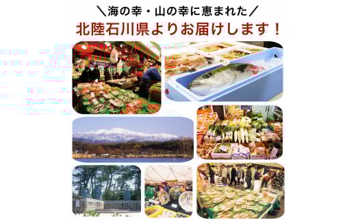 銀だら西京漬け 15切セット （西京焼き）焼魚 銀鱈 たら タラ 鱈