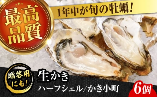 【お中元対象】広島牡蠣の老舗！安心・安全の新鮮牡蠣【生牡蠣】牡蠣 かき 殻付き 開殻 夏のかき ハーフシェル『かき小町』6個入 生食用 魚介類 海鮮 広島県産 江田島市/株式会社かなわ [XBP011] 牡蠣 生食 むき身 殻付き 殻付 殻 かき カキ 生牡蠣 広島牡蠣 オイスター カキフライ 魚介類 魚介 貝類 海鮮 広島県産 国産 産地直送 贈答 ギフト 期間限定 季節限定 特産品 牡蠣 かき