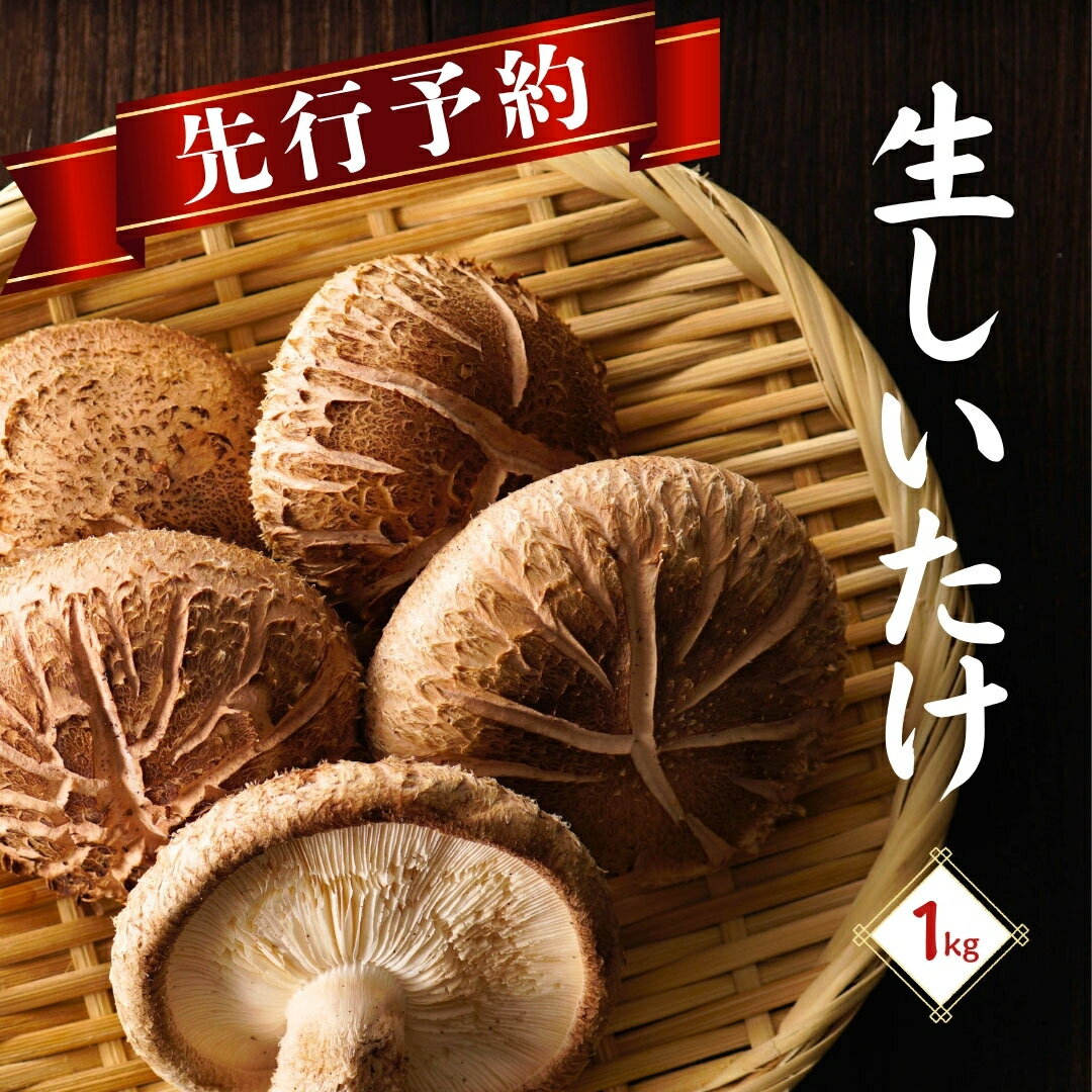 【ふるさと納税】 先行予約／大分県産 しいたけ 津久見で育てた肉厚生しいたけ 1kg　|　津久見市 椎茸 菌床しいたけ シイタケ きのこ 冷蔵 大分県 九州 国産 産地直送 送料無料 【創造工房】