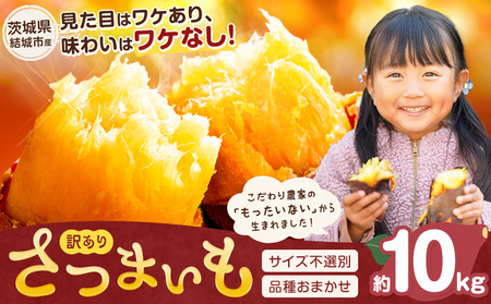 茨城県産 さつまいも こだわり農家の訳ありさつまいも 茨城県結城市産 サイズ不選別 品種おまかせ 約10kg 《1月上旬-3月上旬頃出荷》茨城県 結城市 ご家庭用 お芋 訳あり 紅はるか シルクスイート あまはずき 栗かぐや 品種 お任せ いも 芋