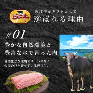 近江牛サーロインステーキ800g / 焼肉すだく 栗東市 日本三大和牛 国産 肉 和牛 牛肉