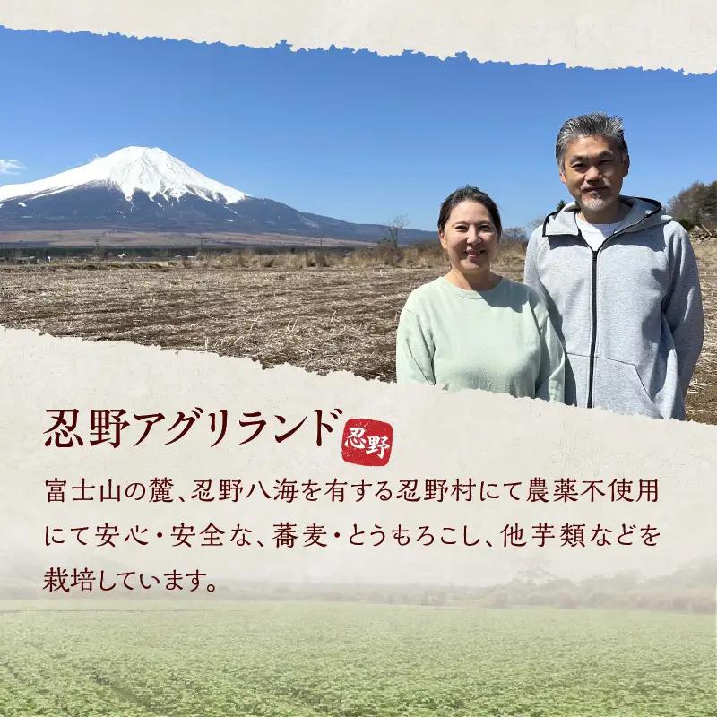 忍野十割そば　生冷凍麺 260g×8袋　計2080g