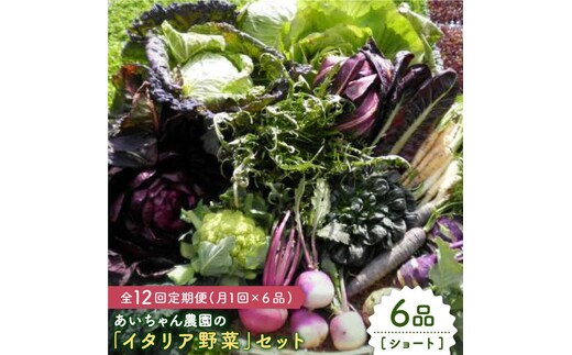 
										
										【6品 / 12回定期便】あいちゃん農園の「イタリア野菜」セット（ショート） [FAA014]
									