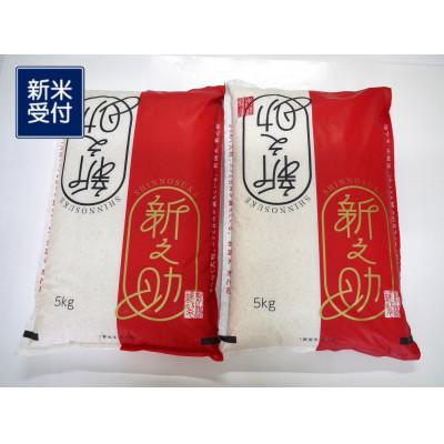 ふるさと納税 村上市 【新米受付・令和7年産米】特別栽培米 村上市岩船産 新之助 精米 10kg　1029002N