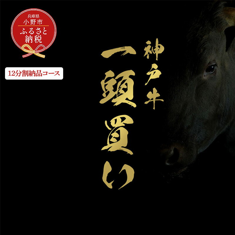 【ふるさと納税】【和牛セレブ】神戸牛一頭分のセレブ体験（12分割納品コース）/ 神戸ビーフ BBQ 牛肉 冷凍 ブランド牛 兵庫県 小野市