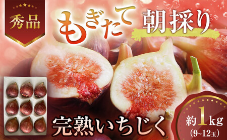 もぎたて朝どり完熟いちじく 秀品 約1kg 9～12玉 いちじく