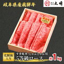 【ふるさと納税】【化粧箱入り】飛騨牛5等級ロース1kg（すき焼き・しゃぶしゃぶ用）　すき焼き・牛肉/しゃぶしゃぶ・お肉・牛肉・ロース