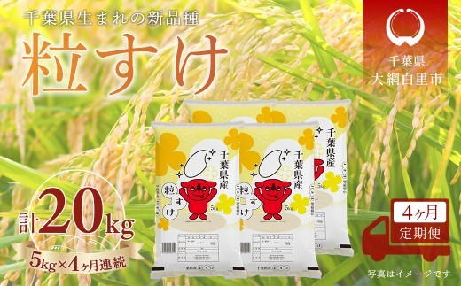 
                  ＜4か月定期便＞ 千葉県産「粒すけ」精米 5kg×4か月連続 計20kg
                
