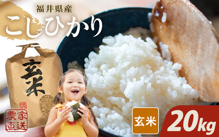 【先行予約】【令和8年産・新米】【玄米10kg×2袋】福井県産 コシヒカリ20kg 【2026年10月上旬以降順次発送】 [D-8915_02]