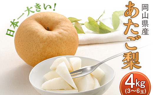 
岡山県産 あたご梨 3～6玉（約4kg）化粧箱入り
