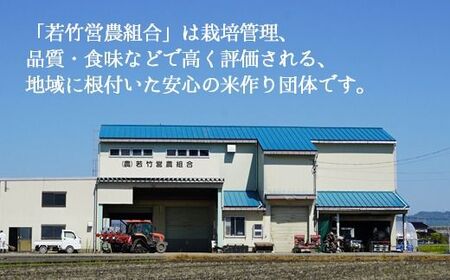 【6ヶ月定期便】【射水市】【射水の美味しいお米】若竹のお米 R8年度産富富富10kg（5kg×2） | 新米 先行予約 令和8年産米 ブランド米 ※離島への配送不可 ※2026年10月上旬～10月下旬