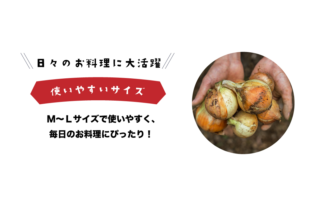 健幸農園の完熟淡路島産玉ねぎ 5kg　　[玉ねぎ 玉ねぎ 玉ね