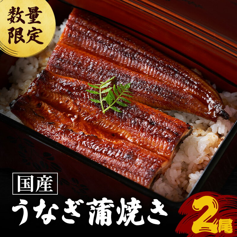 【ふるさと納税】蒲焼き 数量限定 国産うなぎ 2尾 セット 詰め合わせ 鰻 ウナギ うなぎの蒲焼き 鰻の蒲焼 徳右ェ門 老舗うなぎ専門店 魚介類 海鮮 福井県若狭町 グルメ ギフト お取り寄せ