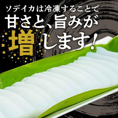 ふるさと納税 知名町 沖永良部島 イカの王様!ソデイカ 500g |  | 01