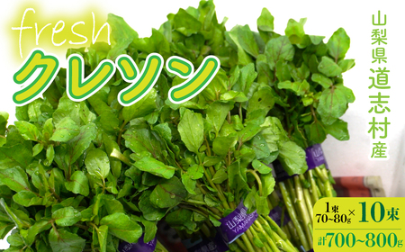 【産地直送】朝摘み新鮮！道志村産クレソン 10束（700～800g） DSAA002 【期間限定】