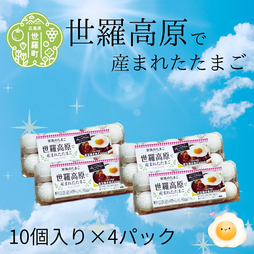 【ふるさと納税】世羅で生まれたたまご 40個(10個入り×4パック) 津口ファーム たまご 玉子 生卵 鶏卵 卵 卵かけご飯 TKG 世羅 A015-03