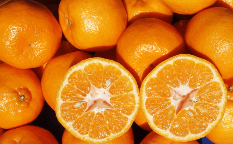 ぽんかん 5kg ワールドファーマーズ 先行予約 ポンカン みかん mikan 愛媛ミカン 愛媛蜜柑 愛媛みかん 果物 くだもの フルーツ 柑橘 甘い ジューシー 果肉 みかん 蜜柑 数量限定 産地直