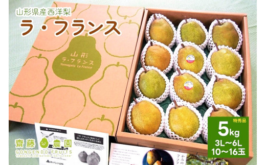 西洋梨（ラ・フランス）５ｋｇ　特秀品　化粧箱詰め　0037-2510