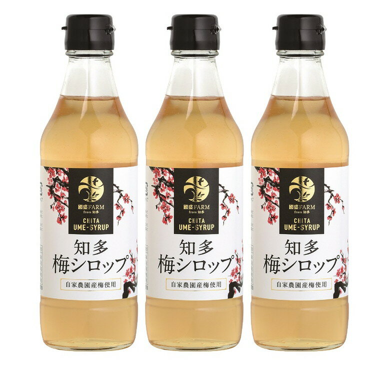 【ふるさと納税】梅シロップ420g×3本 ◇