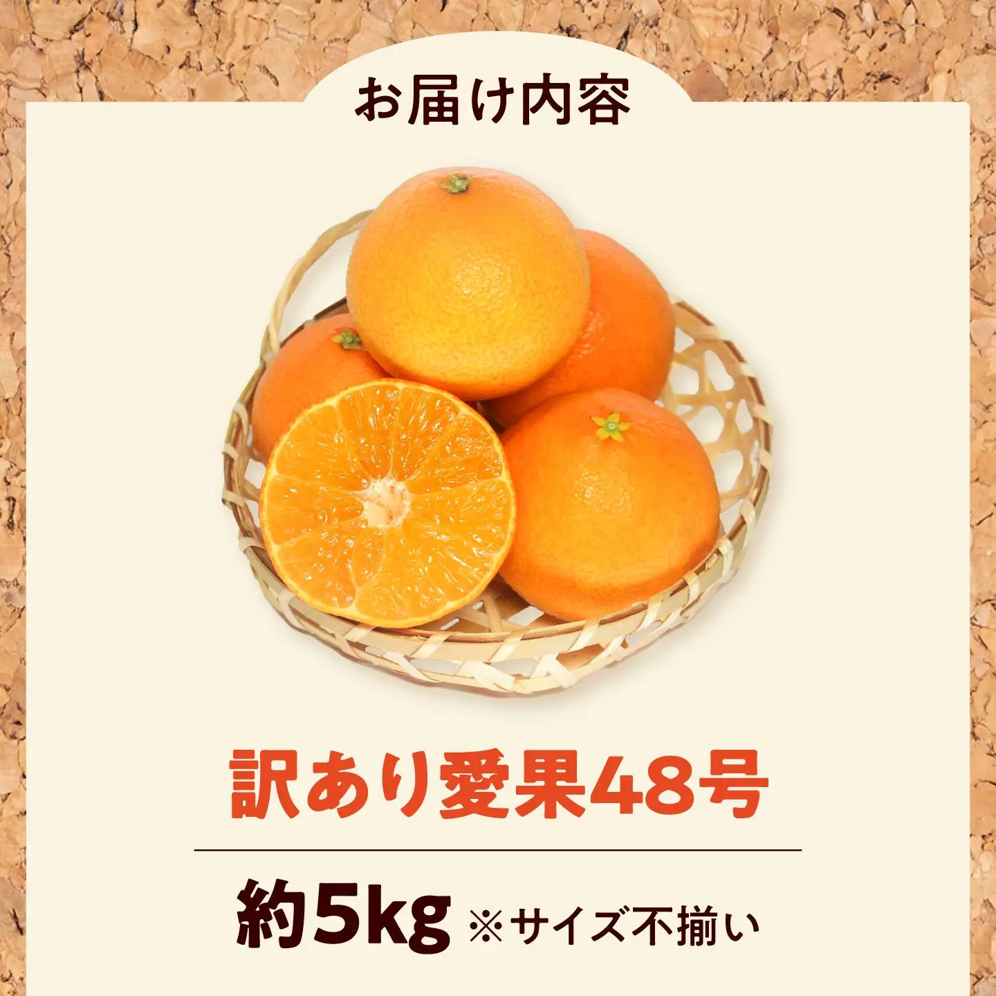 みかん 訳あり 愛果48号 約5kg サイズ不揃い【3月中旬から4月下旬まで順次発送】/ フルーツ 果物 蜜柑 ミカン オレンジ 訳あり 訳アリ 小玉 甘い 先行予約 5kg 愛媛 / 愛媛県砥部町/