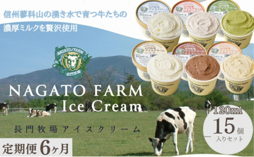 【定期便】6ヵ月連続でお届け！長門牧場アイスクリーム15個セット　6種のフレーバー詰め合わせ（バニラ、チョコレート、抹茶、ヨーグルト、いちご、あんず）　人気スイーツ　濃厚ミルク　直送　牛乳　生乳　国産　夏ギフト　長野県　贈答品　お土産　お中元　お歳暮　クリスマス