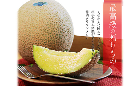 メロン 12ヶ月定期便 中玉 1玉入り 果物 青肉 メロン