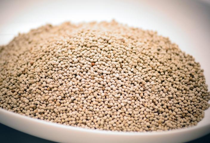 西都産えごまギフトＦセット〈1.9-2〉えごま油　えごま茶　えごま煎餅　えごまソフトカプセル